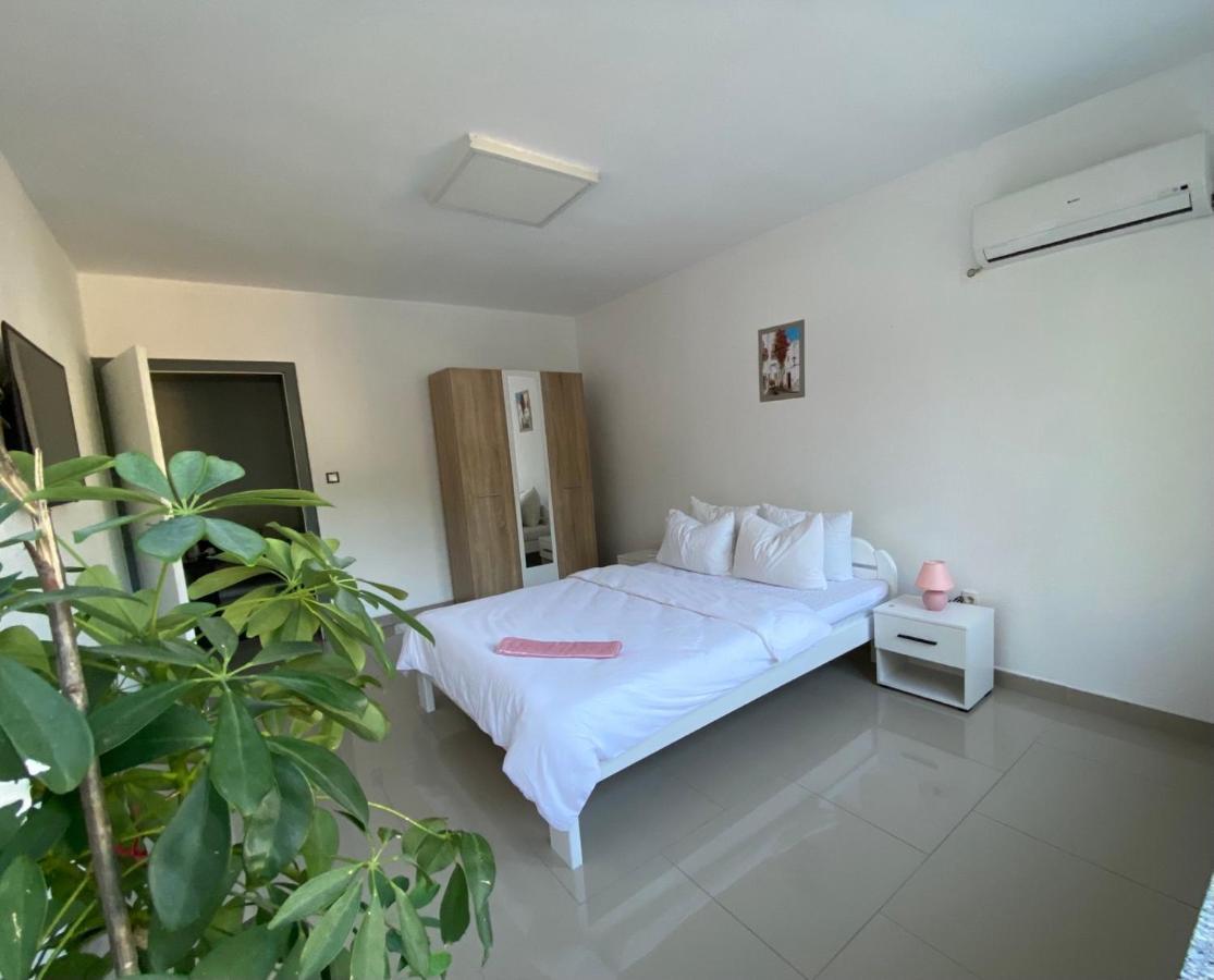 Gatto Apartment Яйце Екстериор снимка